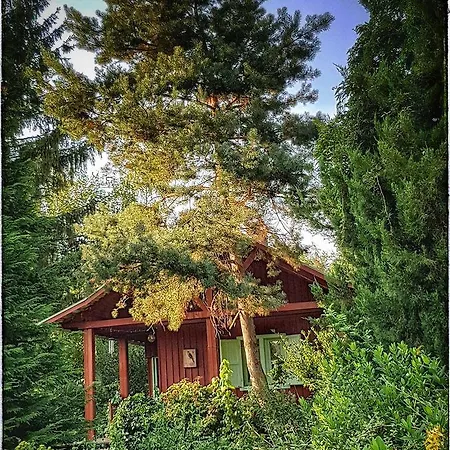 ゲストハウス Rosehill