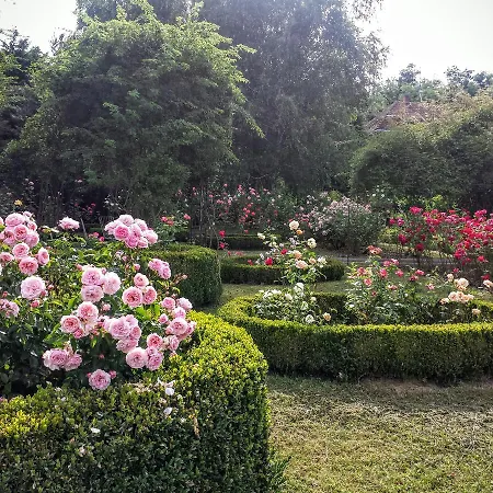 Rosehill Orbányosfa