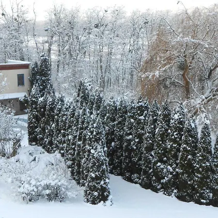 Rosehill بيت ضيافة Orbányosfa