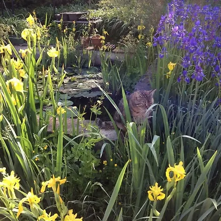 بيت ضيافة Rosehill Orbányosfa