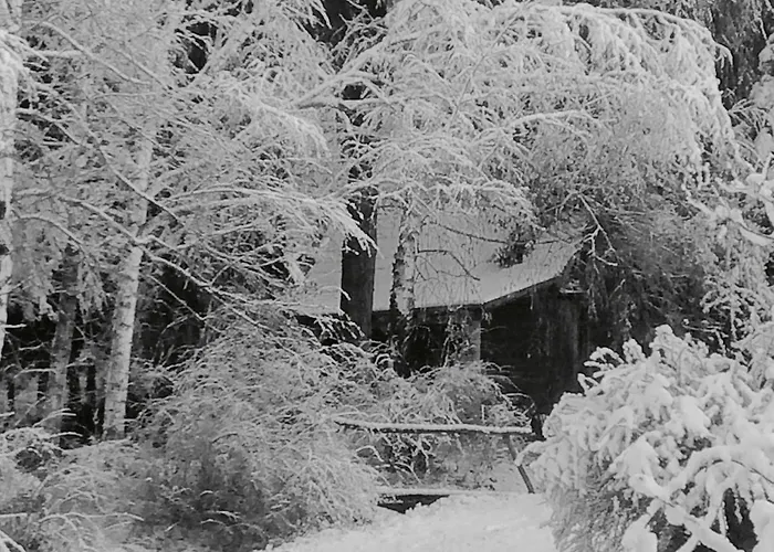 Rosehill Orbányosfa