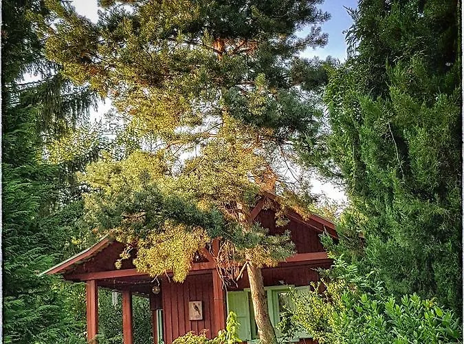 게스트하우스 Rosehill