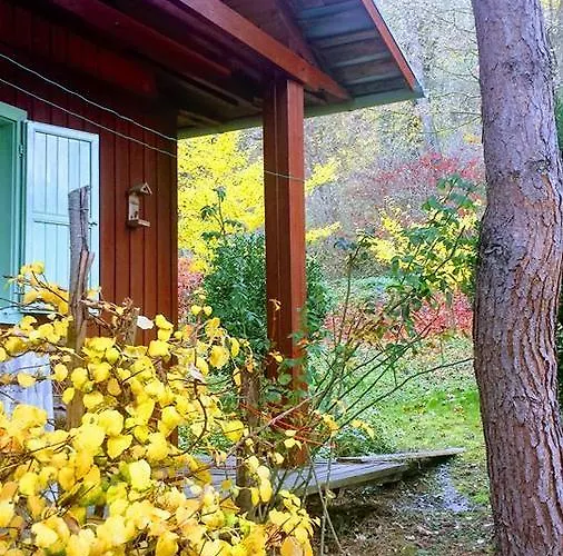 게스트하우스 Rosehill Orbányosfa