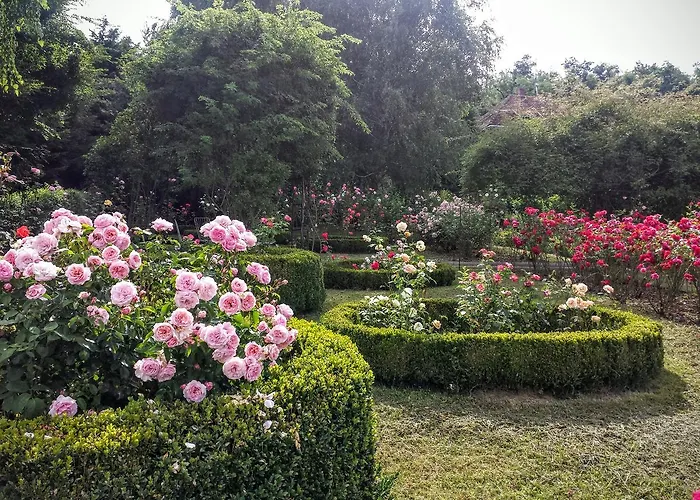 Rosehill Orbányosfa