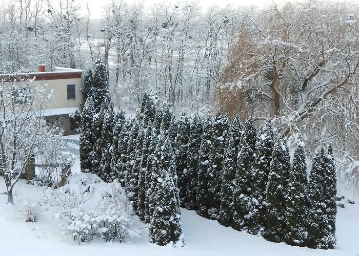 Rosehill Penzion Orbányosfa