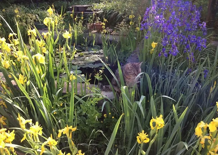 Penzion Rosehill Orbányosfa